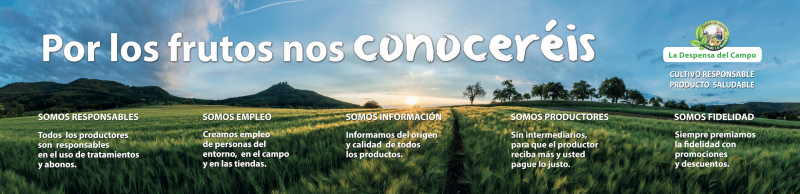 Imagen 15066