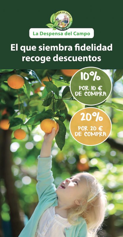 Imagen 15066